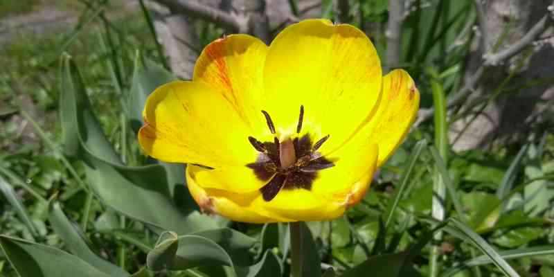Bild 8